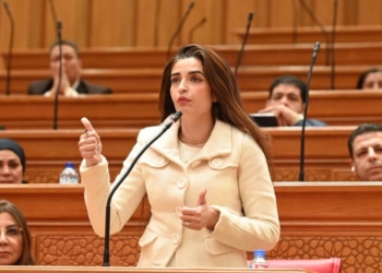 النائبة إيرين سعيد