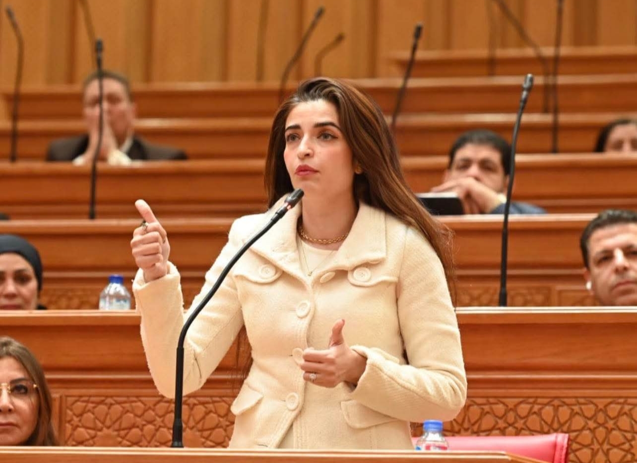 النائبة إيرين سعيد
