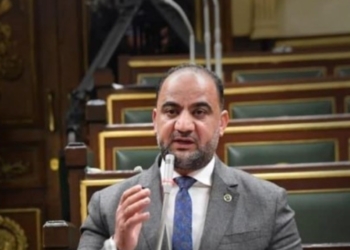 النائب حاتم عبد العزيز