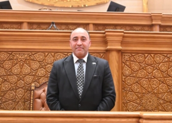 النائب حسام حسن