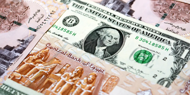 سعر الدولار اليوم