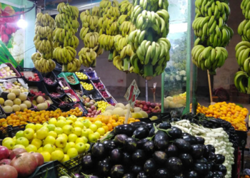 أسعار الخضراوات اليوم