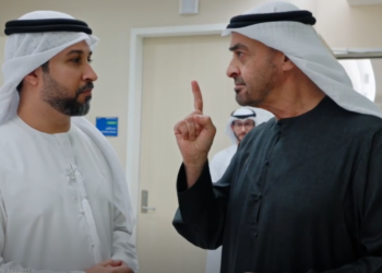 محمد بن زايد آل نهيان، رئيس الإمارات العربية المتحدة