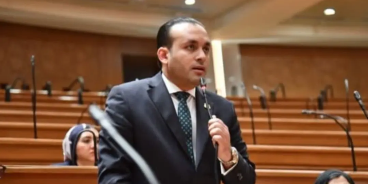 النائب عمرو فهمي