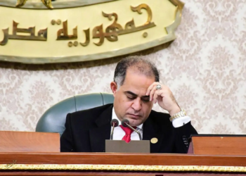النائب سليمان وهدان