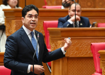 النائب ضياء الدين داود