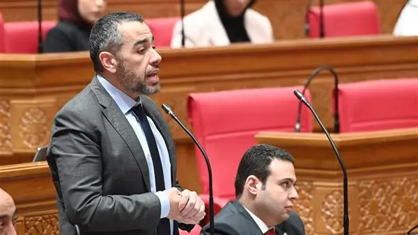 النائب محمد فؤاد