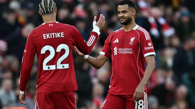 ليفربول وولفرهامبتون