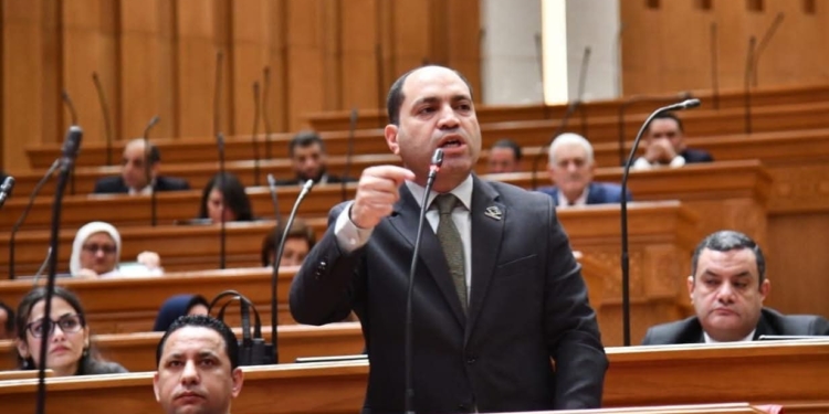 النائب عمرو درويش