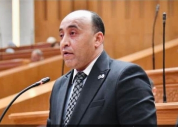 النائب حسام حسن
