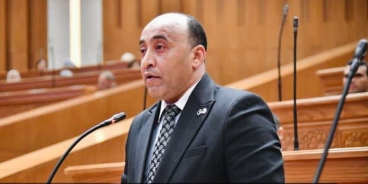 النائب حسام حسن