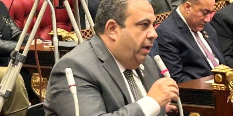النائب أيمن الصفتي