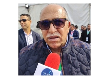 المهندس هشام أبو سنة، المرشح على مقعد نقيب مهندسي القاهرة