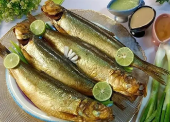 اسعار الرنجة والفسيخ