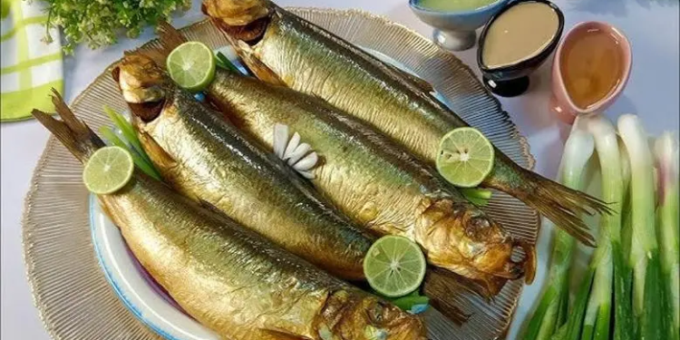 اسعار الرنجة والفسيخ