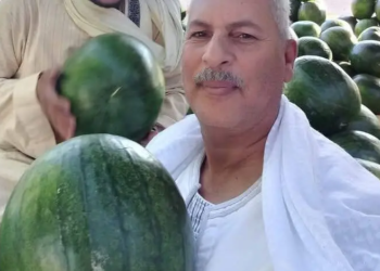 نقيب الفلاحين