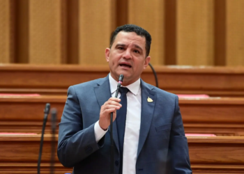 النائب أمير الجزار