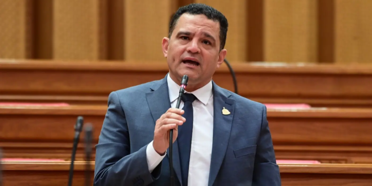 النائب أمير الجزار