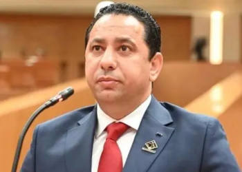 النائب حسام خليل، عضو مجلس النواب
