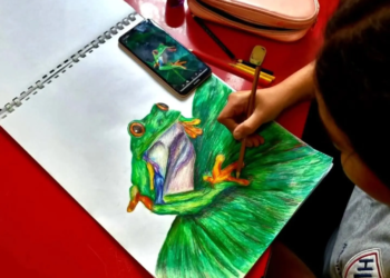 الرسم