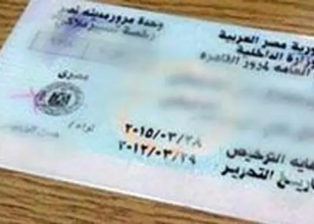 رخصه قياده