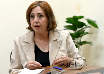 منى عبد الراضي، أمين المرأة بالحزب المصري الديمقراطي الاجتماعي