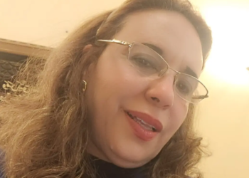 كلاب الشوارع