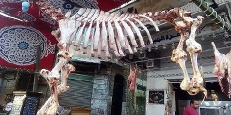 عظام الأضاحي