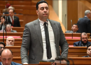 النائب أحمد فرغلي