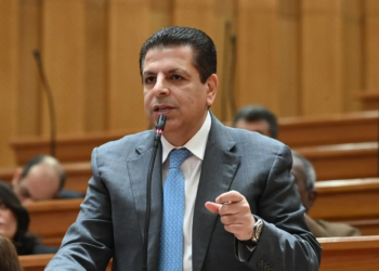 النائب محمود سامي الإمام