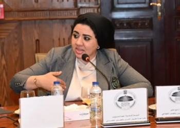 النائبة أميرة صابر