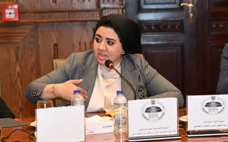النائبة أميرة صابر
