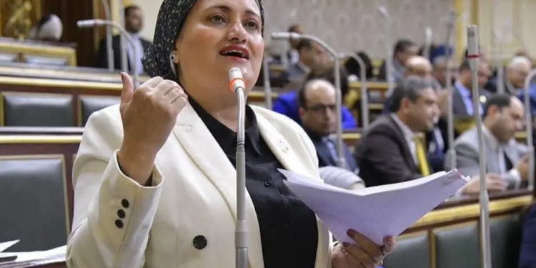 النائبة سناء السعيد