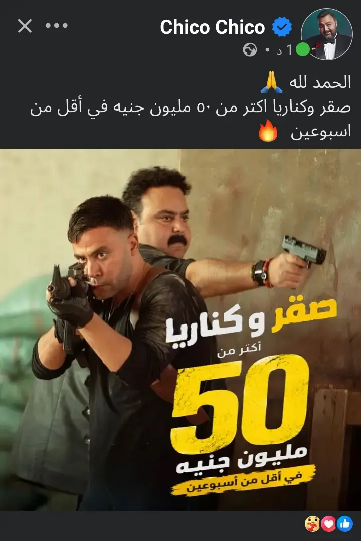 صقر وكناريا 