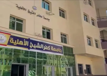 مصروفات جامعة كفر الشيخ الأهلية