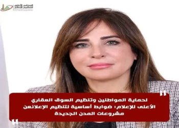 المجلس الأعلى لتنظيم الإعلام