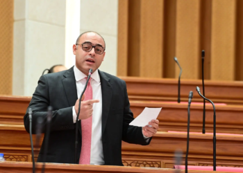 النائب أحمد علاء فايد