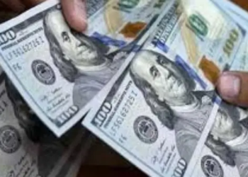 سعر الدولار
