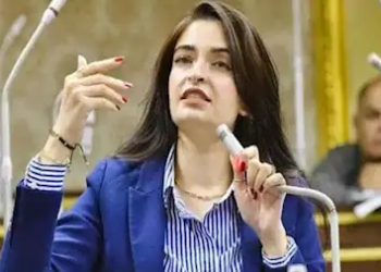 الأنسولين المستورد