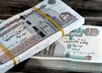 مرتبات أغسطس
