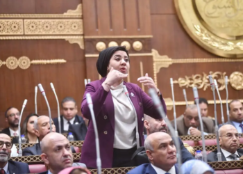 النائبة أميرة صابر