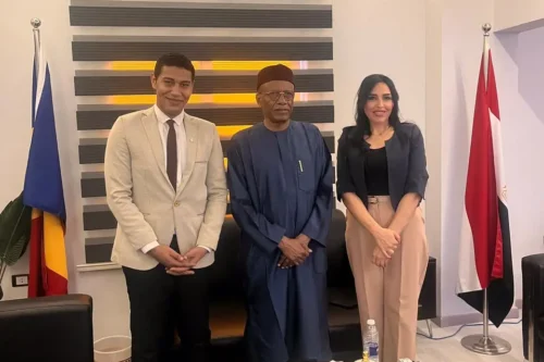 «شباب إيد في إيد» يوسع تحركاته تجاه أفريقيا من بوابة العلاقات المصرية التشادية