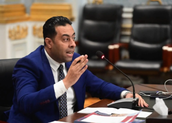 النائب أحمد فرغلي