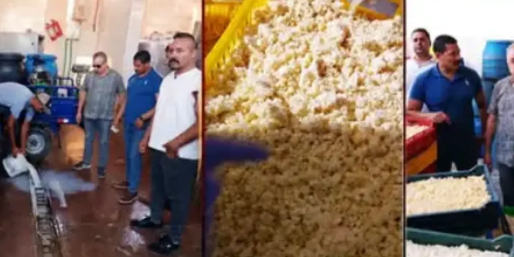 ضبط مصنع موتزاريلا