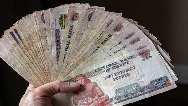مرتبات أكتوبر 2026