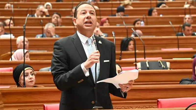 النائب حسن عمار
