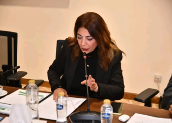 النائبة ضحى عاصي