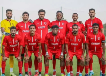 فريق دوري المحترفين