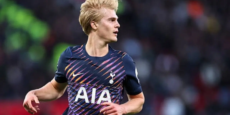 لوكاس بيرجفال لاعب توتنهام