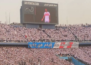استاد القاهرة الدولي